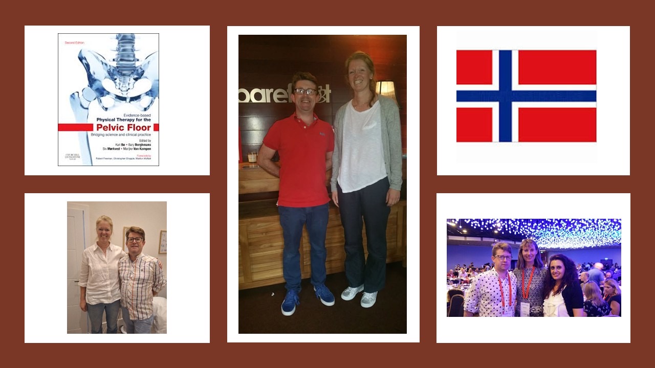image for Gerard had a brilliant time speaking to the Physios of the Norwegian Pelvic Health Physiotherapy group about Men’s Health and the Pelvic Floor!
